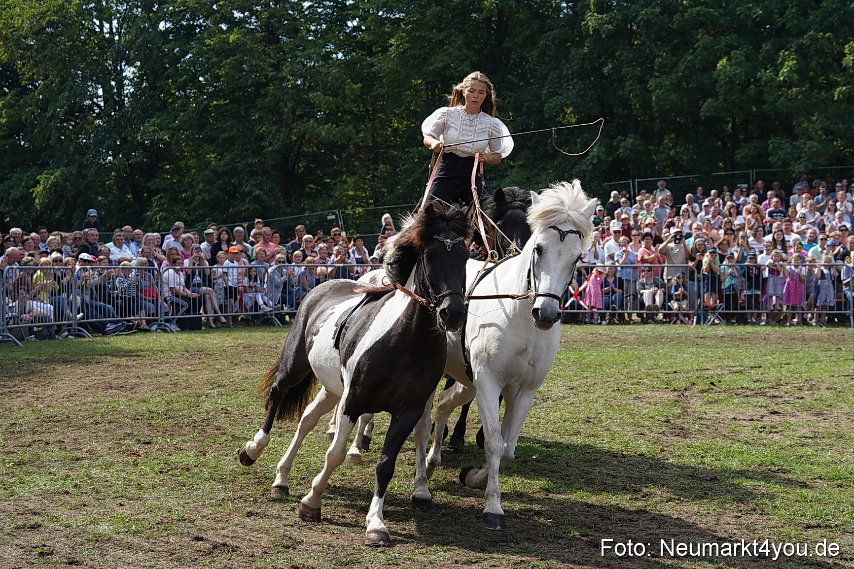 Pferde und Fohlenschau 2022 0274 